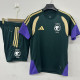 2026-27 Saudi Arabia Green Training Short Suit
