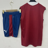 2026-27 Portugal Red Tank top and shorts suit (背心短裤)