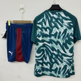 2026-27 Portugal Green Training Short Suit