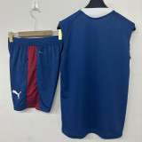 2026-27 Portugal Lake blue Tank top and shorts suit (背心短裤)