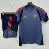 2026-27 Bayern Gray Training Short Suit