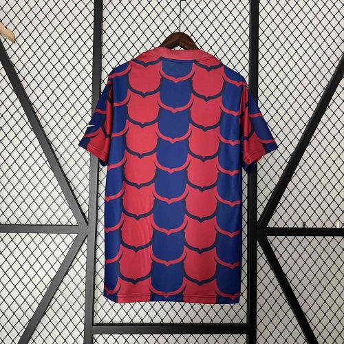 Barcelona Jersey 24/25 training kit