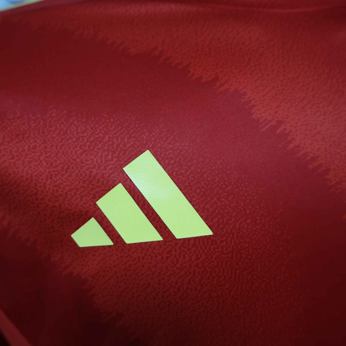 2024 Spain spanien Home Long Sleeve Kit Player Version