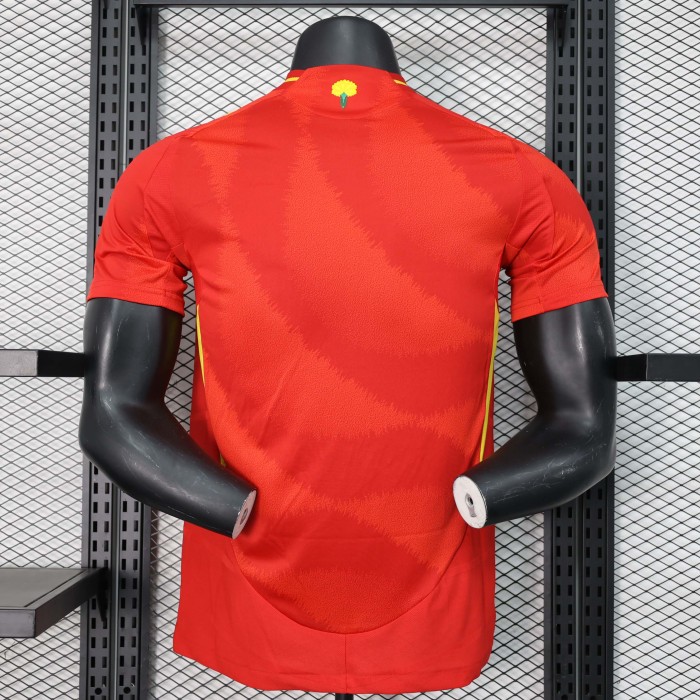 2024 Spain spanien Home Kit Player Version
