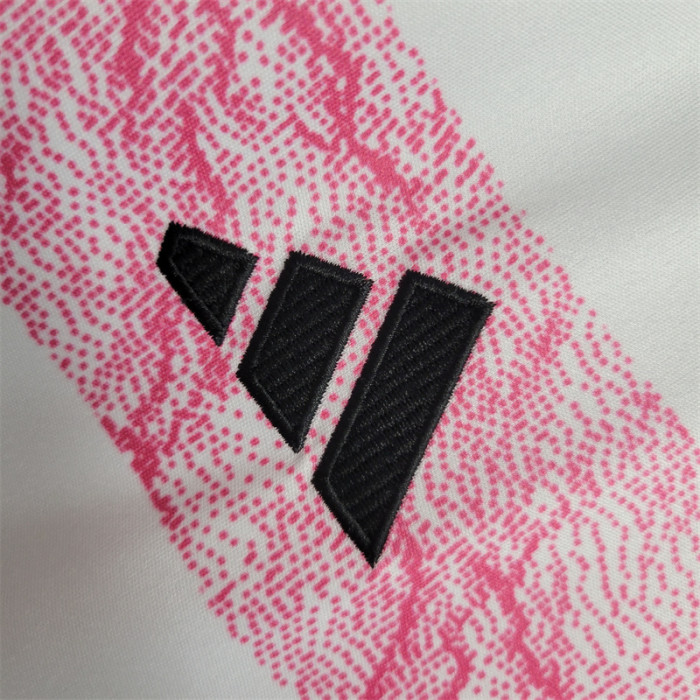 Juventus Jersey 23/24 Away Kit