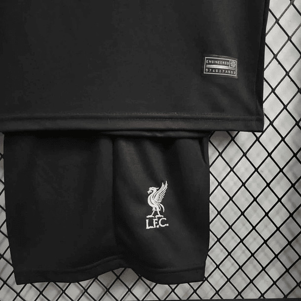 Liverpool  jersey 2024/25 Away Kid Kits