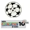 UCL 6 FOUDATION Badge 10 years UCL 6 FOUDATION Badge 10 years