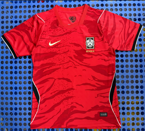 26 27 South Korean home jersey