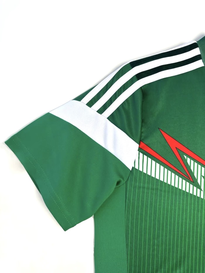 Mexico Home Retro Jersey 2014