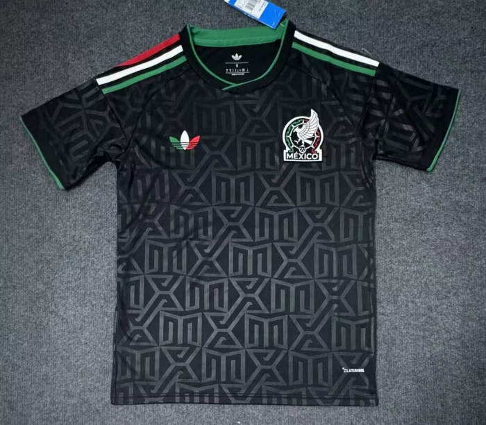Mexico 2025 Away Men Jersey