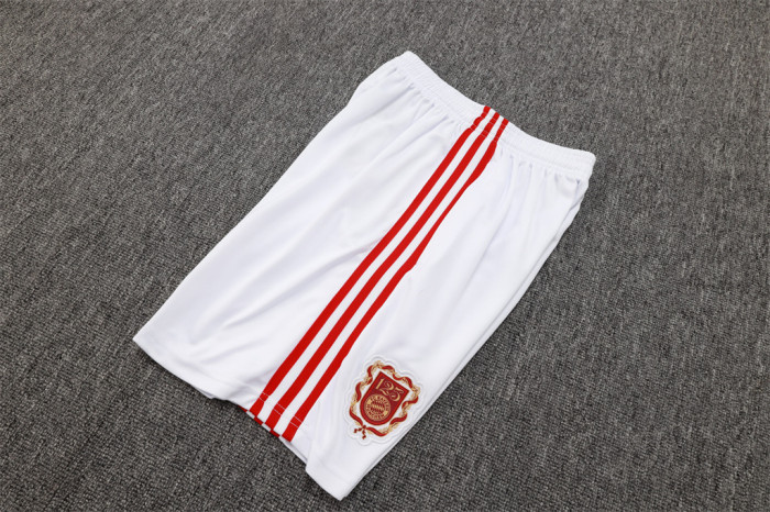 Bayern Munich Training Jersey 25/26