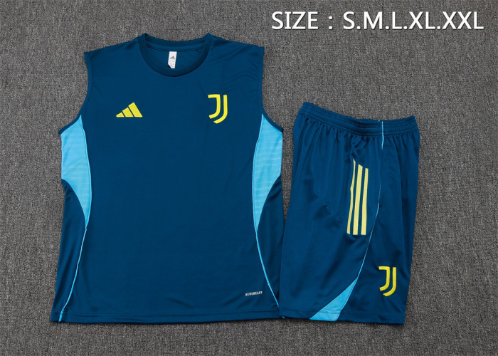 Juventus Training Jersey 25/26