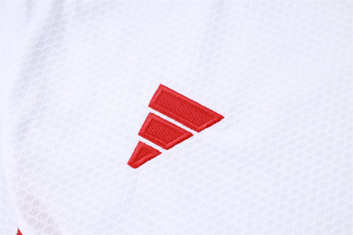 Bayern Munich Training Short sleeve Suit 25/26