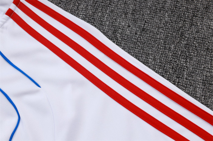 Bayern Munich Training Jersey Suit 25/26