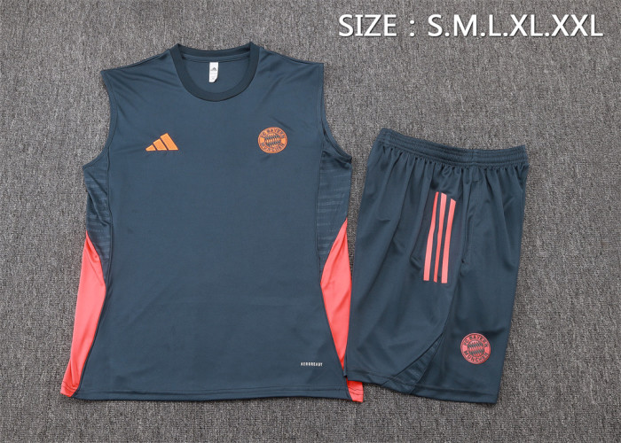 Bayern Munich Training Jersey 25/26