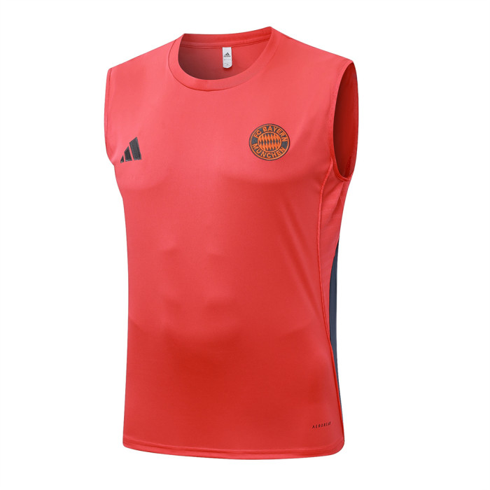 Bayern Munich Training Jersey 25/26