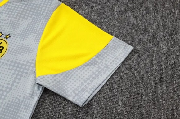 Borussia Dortmund Training Short sleeve Jersey 25/26