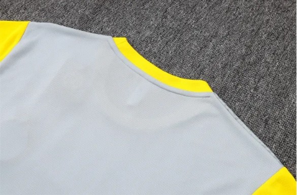 Borussia Dortmund Training Short sleeve Jersey 25/26