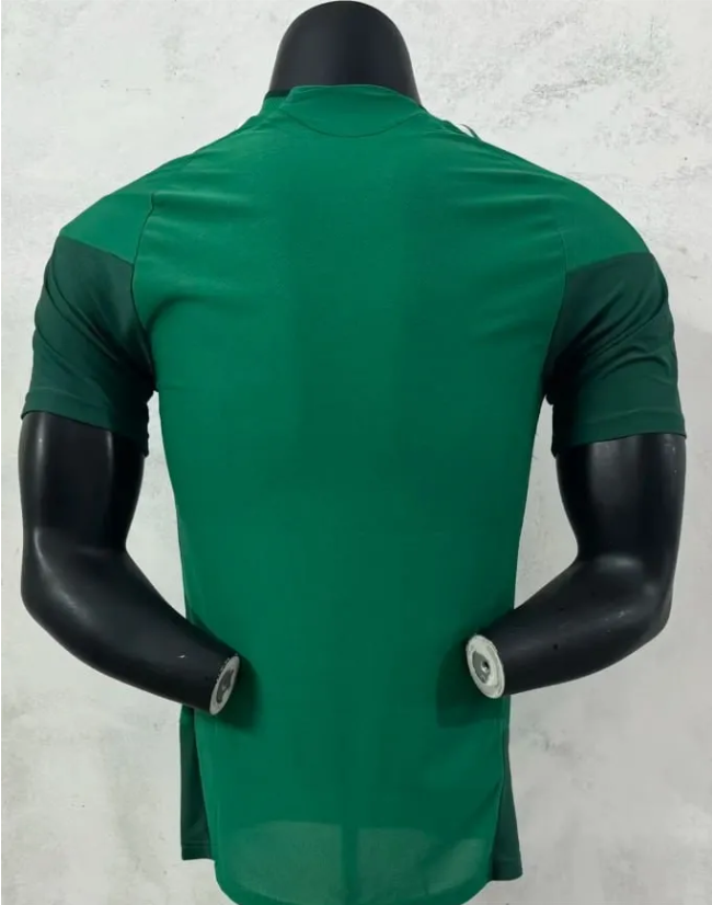 Mexico 2026 Player Green Training Men Jersey