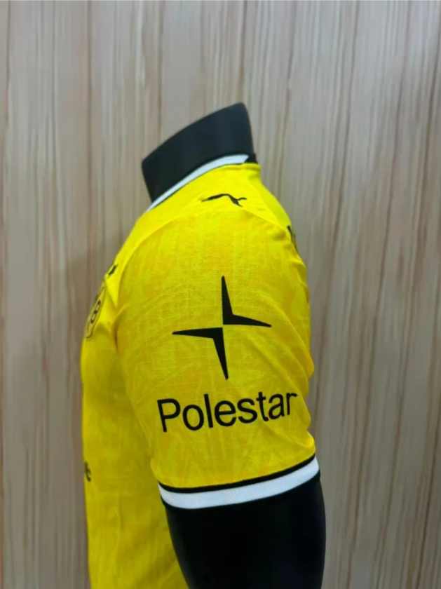 Borussia Dortmund Home Player Man Jersey 26/27