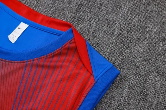 Paris Saint Germain Training Jersey 25/26