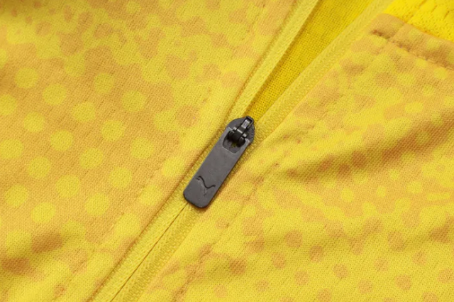 Borussia Dortmund Training Jersey Suit 25/26