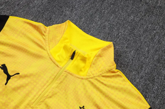 Borussia Dortmund Training Jersey Suit 25/26