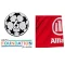 UCL + Arm ad（10 years）