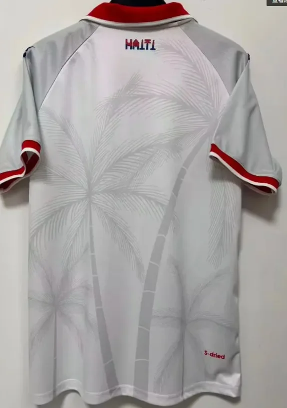 Haiti 2026 World Cup Away Man Jersey