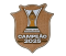 2025 Brasileirão Champion