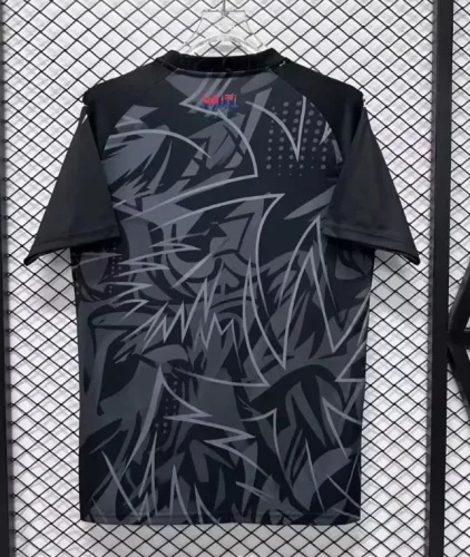 Haiti 2026 Black Special Man Jersey